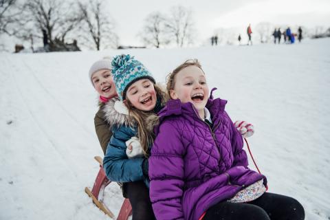 三个笑着的女孩乘着雪橇从白雪覆盖的山上滑下来。
