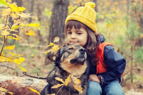 在一次秋季徒步旅行中，小女孩在一根圆木上休息，把下巴靠在她的狗的头顶上。